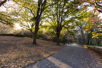 Fototapeta na wymiar Fort Greene Park Walkway with Colorful Trees during Autumn in Fort Greene Brooklyn of New York City