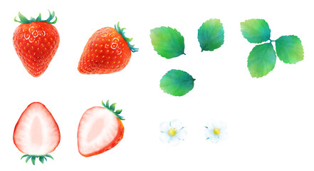 熟した赤いイチゴと葉と花の水彩イラストのセット_新鮮で甘いかわいいフルーツ