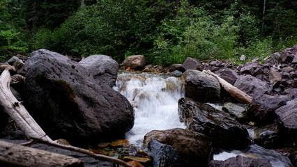 Fototapeta premium river in the forest