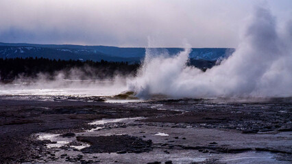 Geyser in Yellowstone