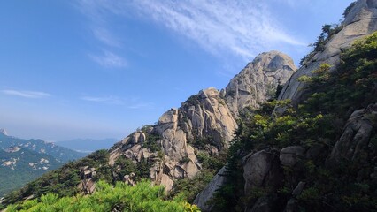 park