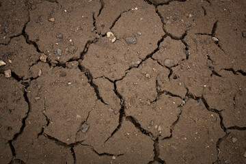 Dry cracked earth. Terktury, background.