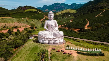Fotobehang Boeddha Morro da Vargem Zen Monastery - entrance and buddha monument - located in the city of Ibiraçu  © Sputnik360