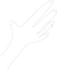hand drawing sketch