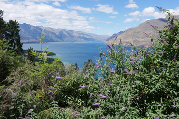 Blick auf den Lake Wakatipu bei Queenstown in den Neuseeländischen Alpen in Neuseeland