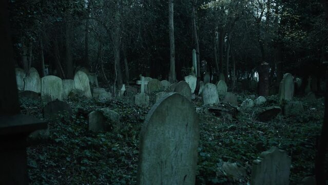 Gravestones overgrown in a dark cemetery