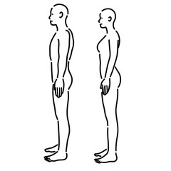 男性と女性の裸体の人体を横から見たイラスト
