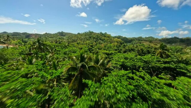 VIDEO FPV BEACH  5K SAMANA REPUBLICA DOMINICANA  VIDEO CON DRONE FPV EN 5K PLAYA RINCON 