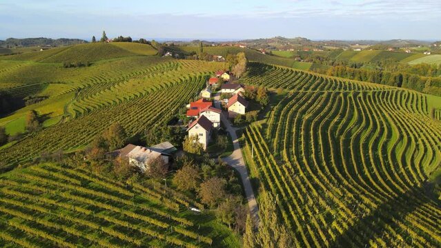 Aerial 4K drone footage of Kog during sunrise. It is a village in the hills northeast of Ormož in northeastern Slovenia, right on the border with Croatia.