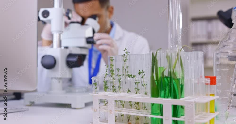 Poster Plant science, microscope and a man in a laboratory for analysis for food gmo research. Male scientist in a medical lab for development, study and working on future innovation with sample for test