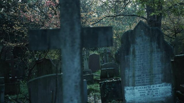 Graves in an autumn forest graveyard