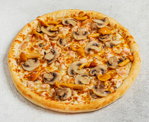 ppizza on the grey background