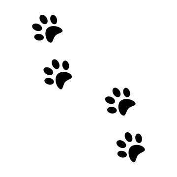 Pads of cat paws. Kitty paw prints. Pets and wild animals. Simple black and white vector isolated on white background