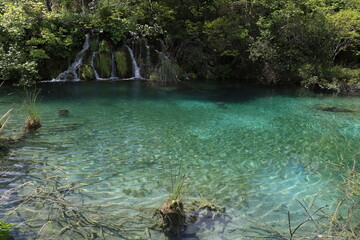 クロアチア世界遺産: プリトヴィッツェ湖群国立公園の夏