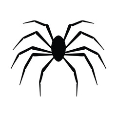 Spider vector clipart