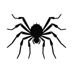 Spider vector clipart