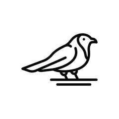 Black line icon for robin 
