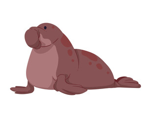 elephant seal artic animal