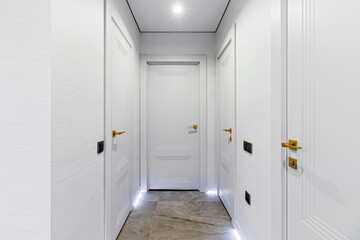 Modern entrance hall in light colors with interior doors in white and gold