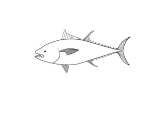 Fish Vector Design. Fish Outline Vector art.