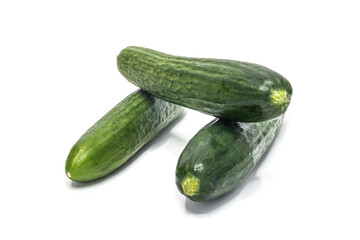 cucumber on an isolated white background