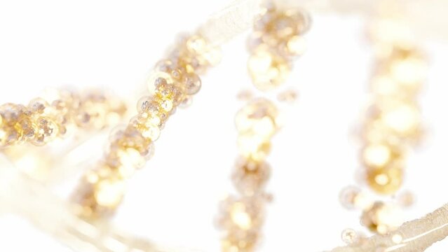 DNA molecule from particles animation on green screen and selective focus. has white appearance, transparent and golden light glow. can be used in education, science or cosmetics industry background.