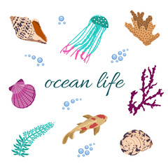 Vector set of inhabitants of the ocean and objects of the underwater world. Illustration of jellyfish, fish and corals with shells. The concept of summer holidays.