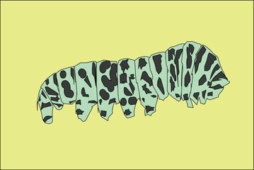 caterpillar