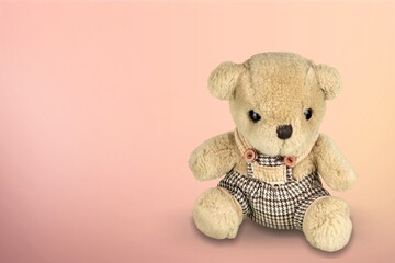 Soft fluffy cute toy on color background