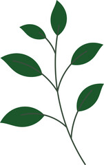 Leaf Illustration