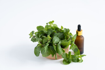Fresh paper mint in wooden bowl beside the amble glass dropper bottle isolated on white background....