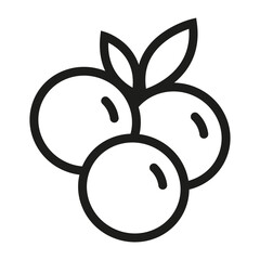 Blueberry icon vector, fruit icon, vector blueberry icon in flat trendy style isolated on white background, blueberry silhouette.