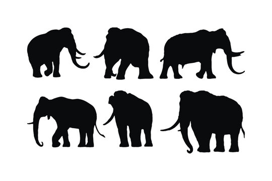 Big elephant walking silhouette collection on a white background. Huge elephant silhouette icon bundle. Wild animal silhouette set vector. Elephant with big tusks silhouette symbol vector.