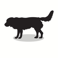 Akbash silhouettes and icons. Black flat color simple elegant akbash  animal vector and illustration.