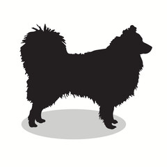 Akbash silhouettes and icons. Black flat color simple elegant akbash  animal vector and illustration.