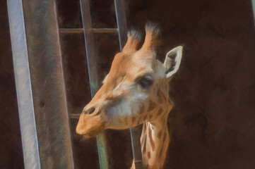 Naklejka premium Digital painting of a portrait of a giraffe.