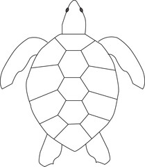 illustration of turtle