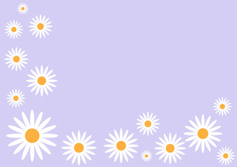 Daisy flower on Plain background. Summer background with Daisy. Vector Illustration. 