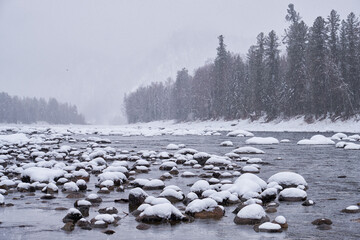 Naklejka premium Stones with snow caps in the water of Altai Biya river under heavy snow in winter season with forest on background