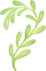 Cute watercolor colourful coral reef cartoon hand painting