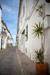 Fototapeta na wymiar White streets of Spanish town Altea