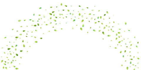 Leaves Green Falling Flying Foliage Leaf Tea Mint