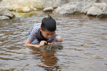 Fototapeta premium Asian boy enjoys exploring creatures in stream, along rocks with magnifying glass. concept of learning outside the classroom, natural learning resources. Soft and selective focus.