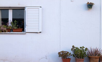 Fototapeta na wymiar Plant on pots outside window and white wall. Almeria, Spain