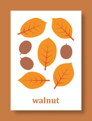 Abstract symbol of walnut leaves and walnut fruits in pastel colors. Vector illustration.