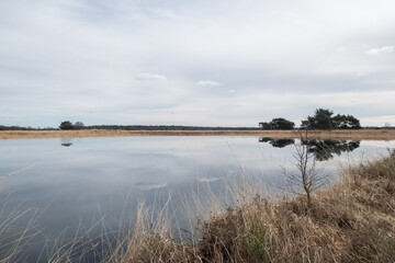 Quiet lake in minimalist landscape