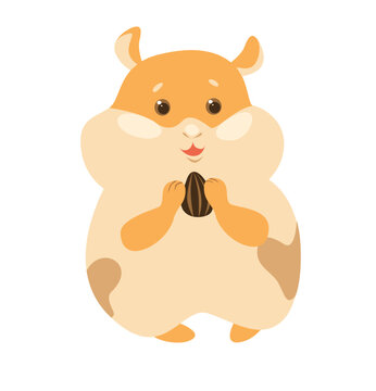 Concept Pet products set hamster. This is a flat vector concept cartoon design featuring a pet, specifically a hamster. Vector illustration.