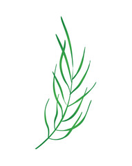 Concept Flora plant flower branch leaf. The cartoon-style green plant branch is the main focus of this illustration, designed in a flat vector style with a simple look. Vector illustration.