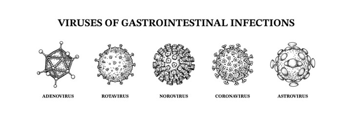 Viruses of gastrointestinal infections. Hand drawn set of microorganisms. Scientific vector illustration in sketch style