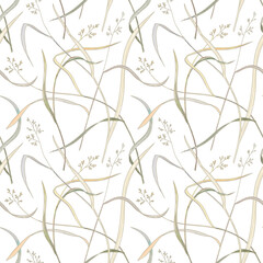 Vector seamless pattern. Pasture grass silhouettes with spikelets on white background. Colorful monocots with seeds. Beautiful delicate design for pillowcase, underwear, linen, textile, wallpaper.  - 592558703